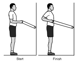 Rotator Cuff and Shoulder Conditioning Program - OrthoInfo - AAOS