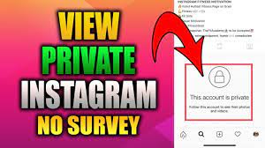 How to view private instagram profiles without following no survey. How To Look At Private Instagram Account No Coding Method Youtube
