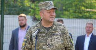 Запісоцька ярина тарасівна початок заява декларація Clgncnopr1r61m