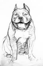 It was completed in 2009 in brooklyn, ny. Big Drawings Of Big Dogs On Behance