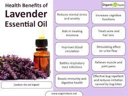 Imagini Pentru Lavender Essential Oil Benefits Lavender Essential Oil Benefits Lavender Benefits Essential Oil Benefits
