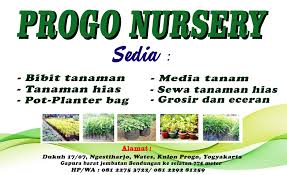 Jual aneka bibit bunga bibit bunga berkualitas harga murah! Progo Nursery Jual Bibit Tanaman Hias Dan Sarana Lainnya Home Facebook