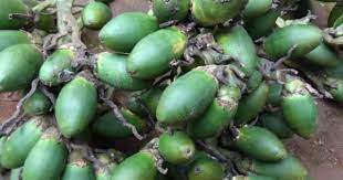 Bahan baku jamu ini sesuai dengan namanya, yaitu rimpang kunci dan daun sirih. 7 Manfaat Pinang Muda Untuk Kesuburan Popmama Com