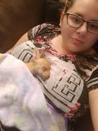 Adorable chiapom puppy named Lola