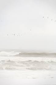 Aesthetic Black And White Ocean Waves Posts From September 2012 On A Thoughtful Eye Shades Of White White Aesthetic Waves