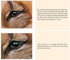 How To Paint Fur Texture Short Fur Painting Fur Fur Textures Oil Painting Lessons