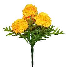 Pin On Flowers
