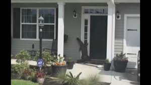 Ding dong nope! Alligator makes a house call