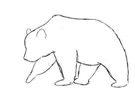 How To Draw A Bear Draw Central Bear Drawing Bear Tattoos Outline Drawings