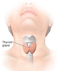 Less commonly, patients may have symptoms. What Is Thyroid Cancer Uchealth