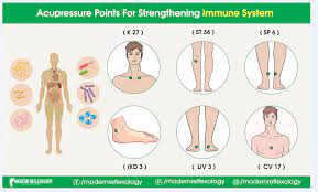 Acupressure Points For Strength Immune System Acupressure Points Acupressure Immune System