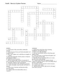 We did not find results for: Nervous System Crossword Lesson Plans Worksheets