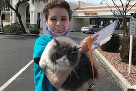 Pet owners bring their beloved animal family members to our family because the care given by our established team of friendly, compassionate and experienced veterinarians and support staff is second to none. Taking The Family Pet To The Vet During A Pandemic Raising Arizona Kids Magazine