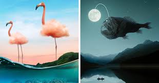 78 Surreal Digital Manipulations From The Artist Behind The Photoshop 2021  Splash Photo