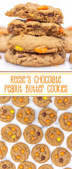 Reese S Chocolate Peanut Butter Cookies Choctoberfest Recipe Peanut Butter Cookies Butter Cookies Chocolate Peanut Butter Cookies