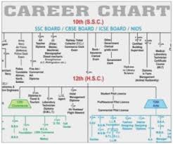 34 You Will Love Career Path Flow Chart