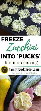 Check spelling or type a new query. Freezing Shredded Zucchini Summer Squash Family Food Garden
