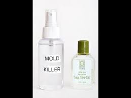 mold and mildew and preventer