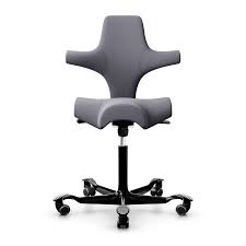 Bring comfort to your cubicle with this carder black mesh office chair, which features an ergonomic design and molded back for added support. Hag Capisco Saddle Chair Order From Applied Ergonomics