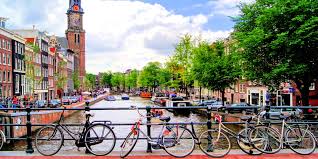 Education degrees, courses structure, learning courses. Ccg Ugm And Conference 2020 Europe