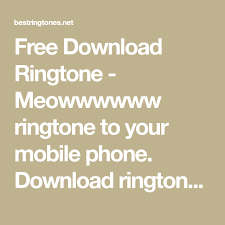Free Download Ringtone Meowwwwww Ringtone To Your Mobile Phone Download Ringtone Meowwwwww Free No Any Charge And Hig Mobile Phone Phone Alarm Sound Effect