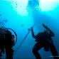 Rottnest Double dive event image