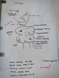 Pin On Nursing School Study Tips Nclex