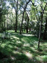 Aspen Grove Park 1 Mile From Office Franklin Tennessee Franklin Tennessee Grove Park Tennessee