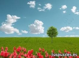 When it comes to sharing your photos online, the expectations are usually pretty basic: Tus Puzzles Puzzles De Fotos Online