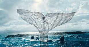 How In the Heart of the Sea's Mammoth Whale Was Brought to Life