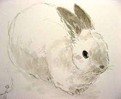 うさぎです 日本画の先生のうさぎです 去年日本画で描いたあのうさぎです 今日のテスト終了後 日本画の後輩にまじって描かせて頂きました もっふもふな毛 ひくひくしてるお鼻 大きな瞳 長い耳 まあるい尻尾 ああっ やっぱりうさぎは