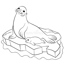 Coloring page cute baby cartoon seal stock vector. Seal Cute Stock Illustrations 15 255 Seal Cute Stock Illustrations Vectors Clipart Dreamstime