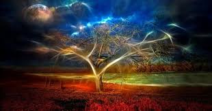 Love The Colors Abstract Nature Nature Wallpaper Magical Tree