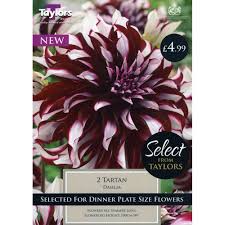 Shop.alwaysreview.com has been visited by 1m+ users in the past month Dahlia Tartan Capital Gardens