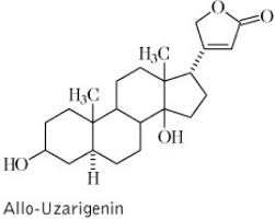 Image result for Xysmalobium