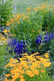 Pin On Yard Garden