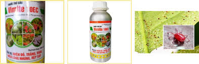 Vimite 10EC