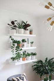 39 Smart Ideas To Display Indoor Plants Arredamento Piante Da Interni Decorare Piccoli Spazi Arredare Con Le Piante Da Appartamento