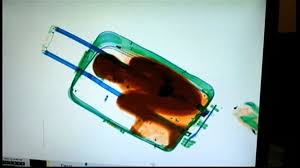 Little boy {masculine} little boy (also: X Ray Scan Uncovers Boy Smuggled In A Suitcase Spanish Authorities Say Abc News