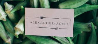 Even some professional designers use it to create business cards for their clients. Top Business Card Trends Of The Year Primoprint Blog