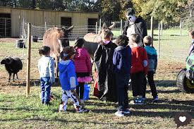 10 Fermes Pedagogiques A Decouvrir A Marseille Et Ses Environs
