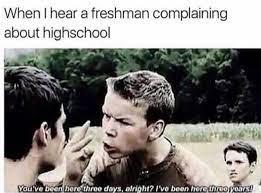 Pin By Lindsay L On Memes Funny Pictures Memes Funny Memes