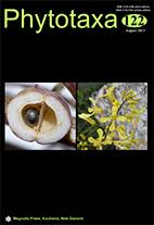 Image result for Nolletia arenosa