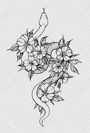 Garden plants and flowers that can attract the snakes ground cover plants, low vines, and flower bed plants (like thick jasmine growth, morning glory, rosemary, etc) provides a good shelter for rodents. Tattoo Snake Decorated Flowers Snake Symbol Of Wisdom T Shirt Stock Photo Picture And Royalty Free Image Image 151382053