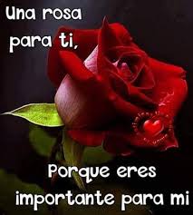 Resultado De Imagen Para Una Rosa Para Ti Preciosa Feliz Dia De San Valentin Feliz Dia De La Madre Saludos De Buenos Dias