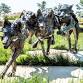 2026 Sculpture in the Park Show and Sale