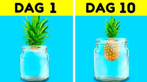 Ein garten bietet ihnen viele möglichkeiten: 34 Perfekte Ideen Fur Deinen Kleinen Garten Youtube