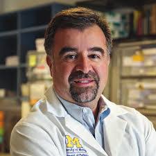 David Moons's Instagram, Twitter & Facebook