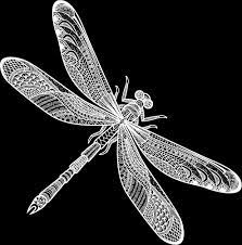 Call today to get started! Pest Control Services Medford New Jersey Alliance Pest Management Llc
