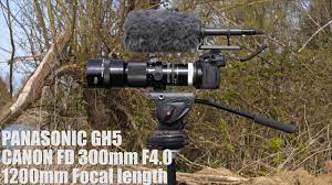 Panasonic Gh5 4k50 Vintage Canon Fd 300mm Lens Shooting Birds On 1200mm Canon Panasonic Lens